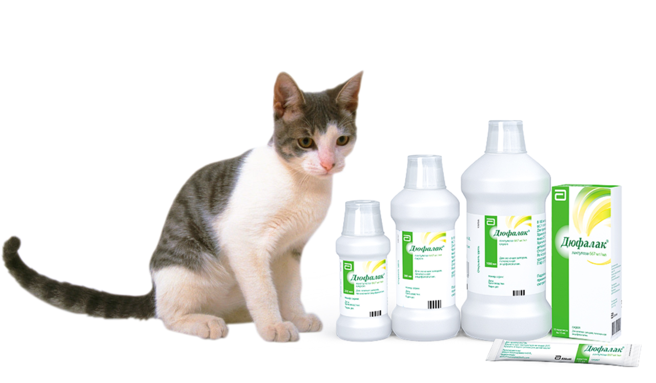 Инструкция по применению препарата Дюфалак для кошек