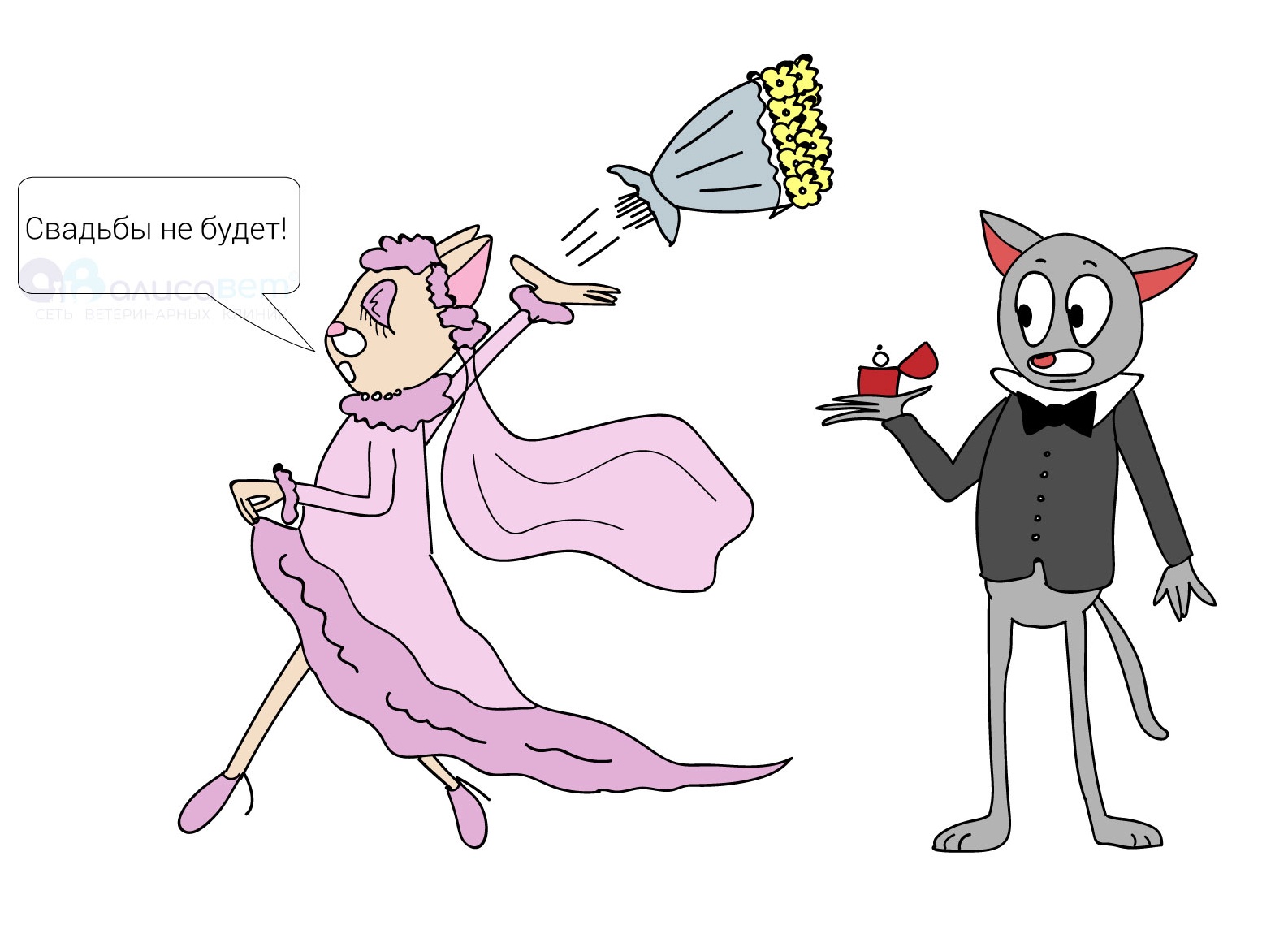 Как происходит стерилизация кошек уколом