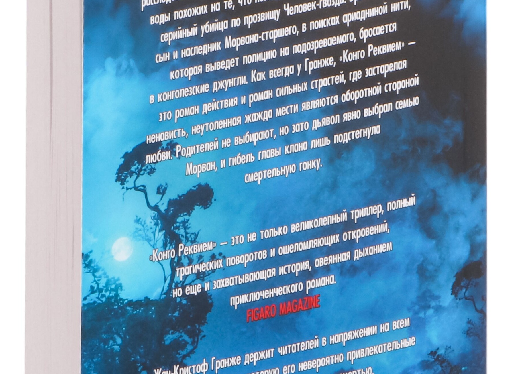 «Похожи, как две капли»: 21 случай, когда мамы кошки сделали свою копию (кошачьи окрасы, смешные фото)