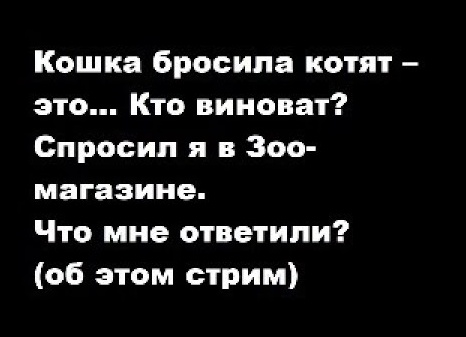 Что делать, если кошка бросила котят. Как их кормить?