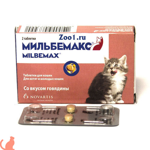Обзор таблеток от глистов для кошек Мильбемакс